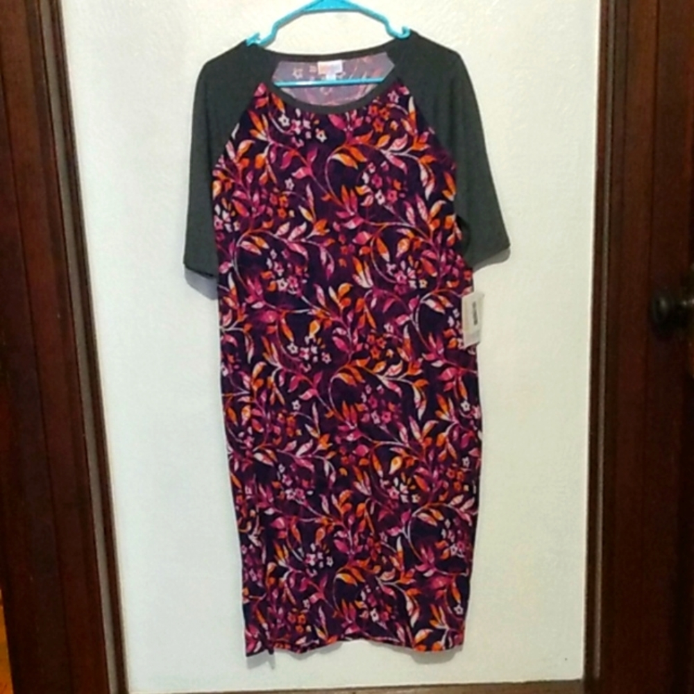 LuLaRoe Julia Dress